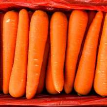แครอท (Carrot)