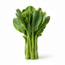 ยอดคะน้า