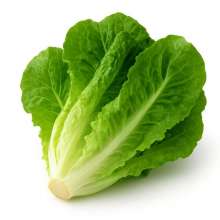 สลัดคอส 0