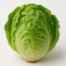 สลัดแก้ว 0